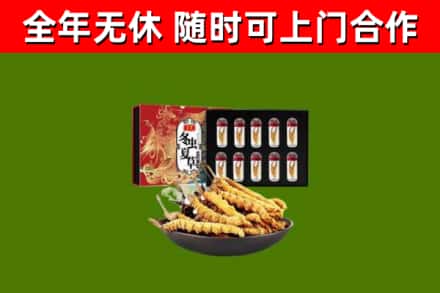 永丰县回收冬虫夏草价格